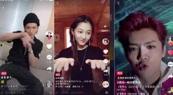明星网红入场视频在线观看,现场直播带你领略星光熠熠