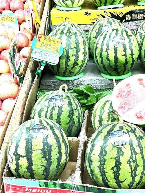 青岛麒麟瓜今日价格,价格行情一览”