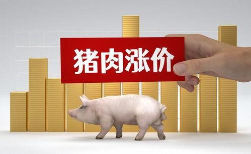 瓜州市今日猪价,今日猪价行情一览