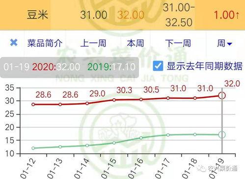 小瓜今日行情走势分析最新,洞察今日走势新动向
