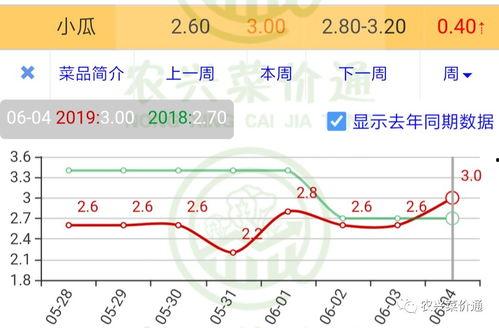 小瓜今日价格行情走势图,今日行情走势图深度解析