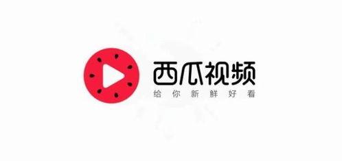今日头条每日一瓜,揭秘娱乐圈最新热点事件