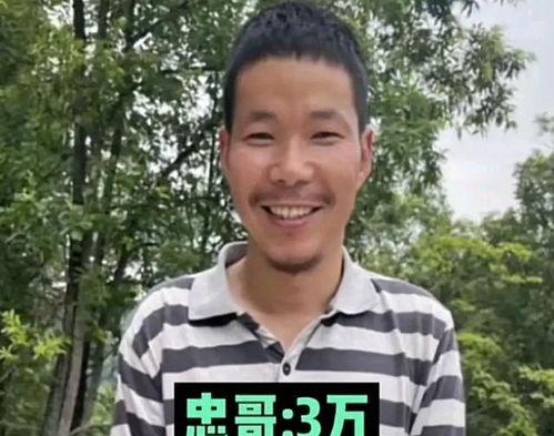 明星网红捐款驰援西藏灾区,助力西藏灾区重建家园