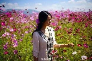 大理偶遇明星网红叫什么,揭秘偶遇明星网红的神秘面纱