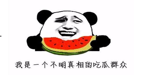 今日吃瓜是什么意思,网络热词背后的文化现象