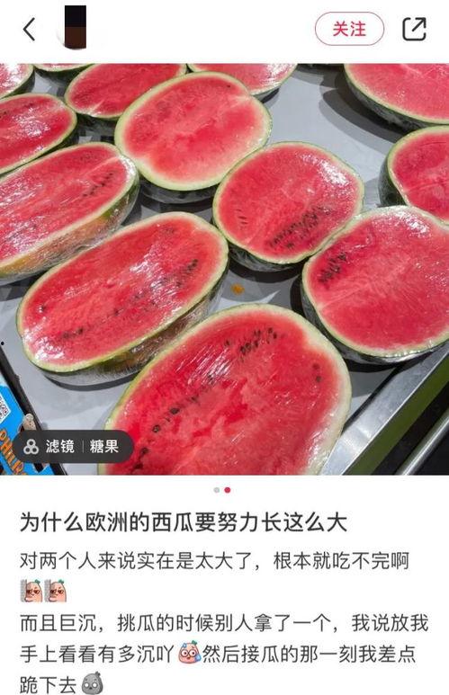 今日吃瓜海外吃瓜,今日海外吃瓜大盘点