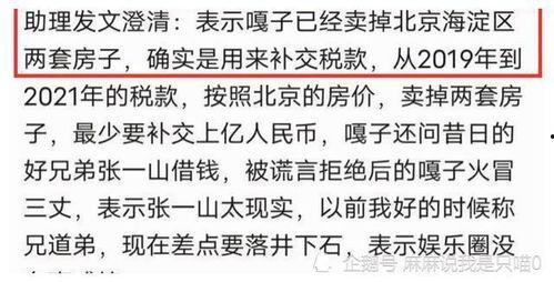 明星网红收多少税收的,收入与税负背后的秘密