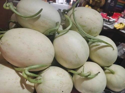 糖丸瓜今日价格,价格行情一览