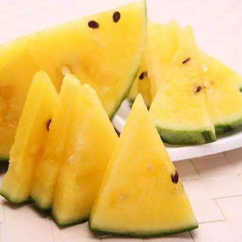 今日份最好吃的瓜,揭秘全网最佳美食瞬间