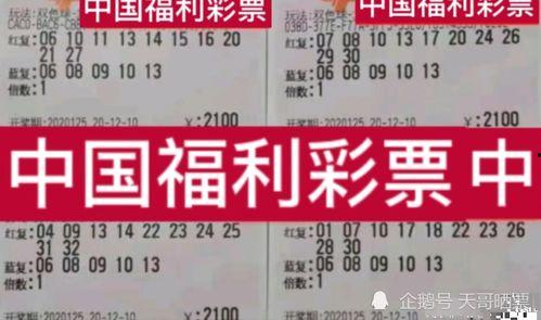 今日双色球晒票小呆瓜,小呆瓜的幸运瞬间