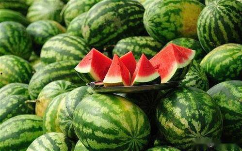 美都西瓜今日瓜价,新鲜直供，价格行情一览
