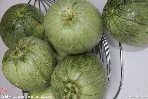 汉瓜今日价格,市场行情一览