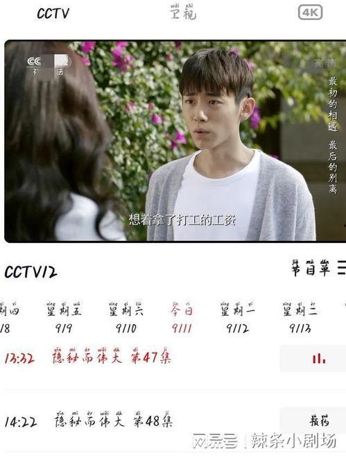 下架明星网红事件视频,揭秘背后真相与影响