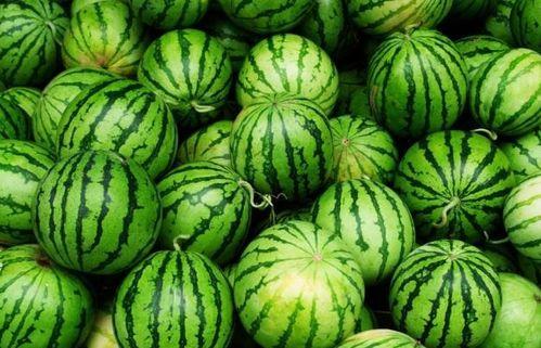 今日吃瓜必吃大瓜top,吃瓜群众热议的顶级大瓜盘点