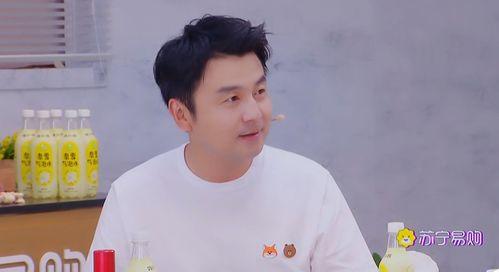 明星网红直播间贾乃亮视频,揭秘明星网红的直播魅力