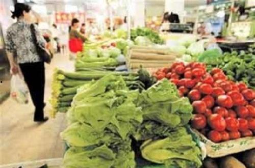 中牟吊瓜菜价价格今日行情,波动分析及市场动态