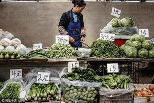 瓜茄今日价格行情,今日市场行情概览