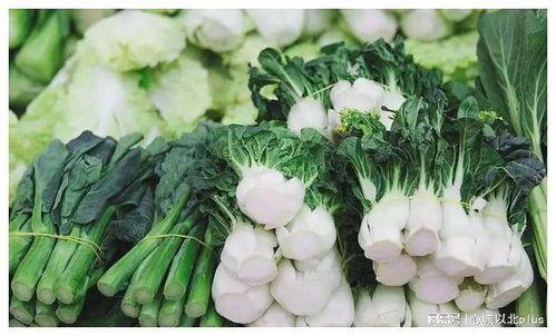 瓜茄今日价格行情,今日市场行情概览