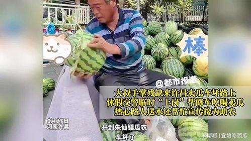 今日头条早晨卖瓜的大叔,揭秘今日头条卖瓜大叔的早晨传奇