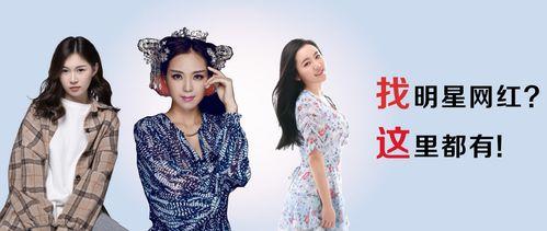 祝福视频明星网红的话语,明星网红的温馨祝福视频集锦