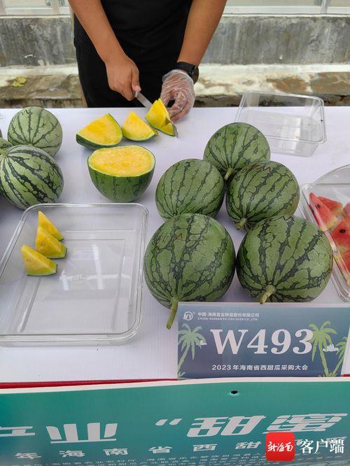 2023年吃瓜黑料新闻,揭秘明星隐私背后的真相