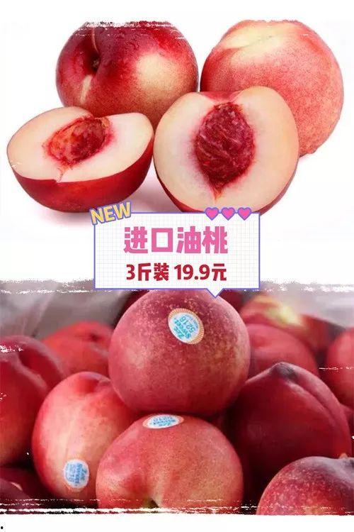 今日网纹瓜价,市场行情一览