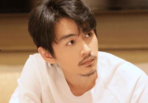 今日吃瓜陈晓谭松韵,娱乐圈新恋情曝光？