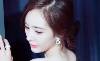 惠州明星网红有哪些名字,网络红人风采展示