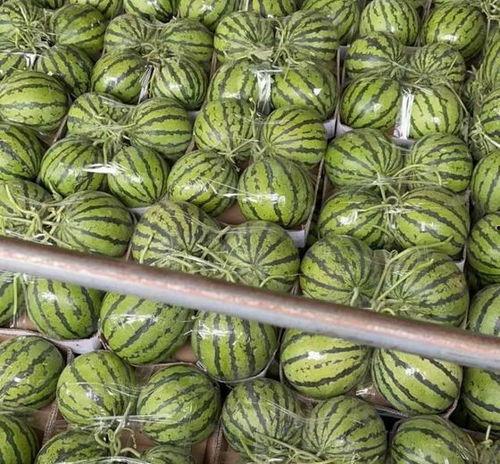 今日美都瓜批发价,新鲜瓜果价格波动解析”