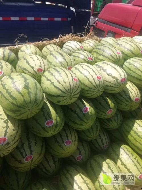 今日美都瓜批发价,新鲜瓜果价格波动解析”