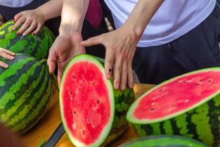 红领巾今日吃瓜吃大瓜,吃瓜吃到“大瓜”背后的故事