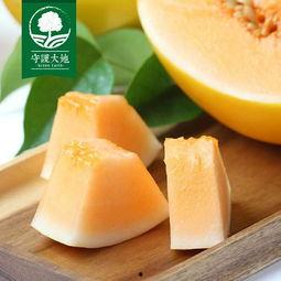 今日蜜瓜报价最新,新鲜蜜瓜报价一览