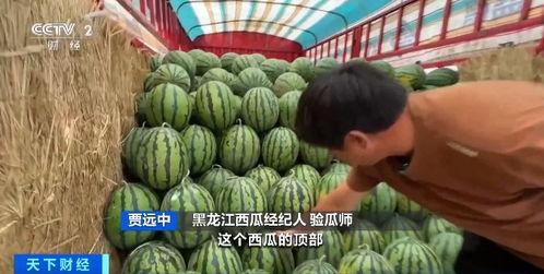 瓜价格今日行情,今日行情一览，揭秘市场动态”