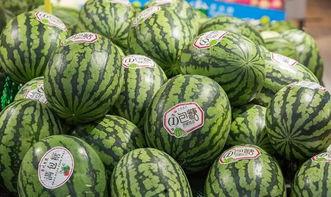 陵水今日吊瓜收购价格是多少,行情动态一览