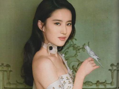 早前明星网红叫什么来着,那些年我们熟知的明星网红背后的故事