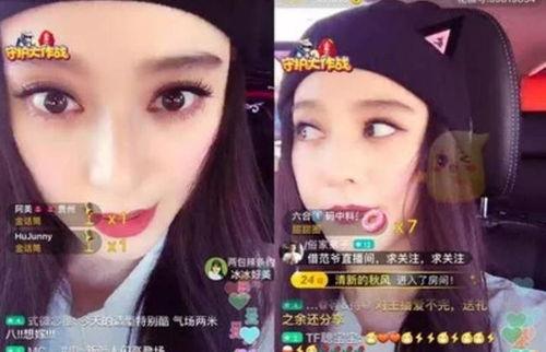 网红和明星网易视频账号,账号互动打造全新娱乐盛宴