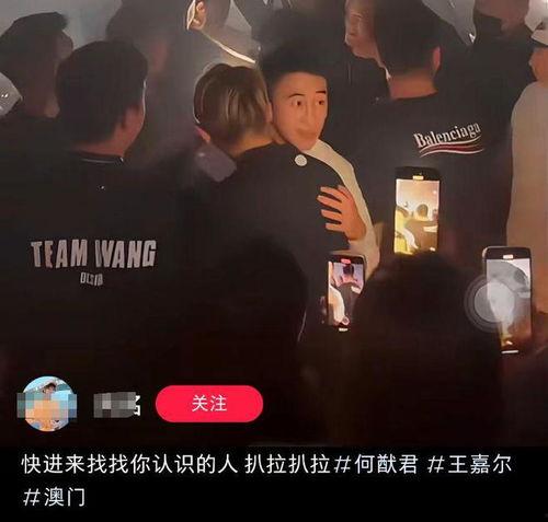 网红和明星网易视频账号,账号互动打造全新娱乐盛宴