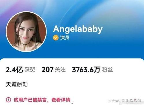 网红和明星网易视频账号,账号互动打造全新娱乐盛宴