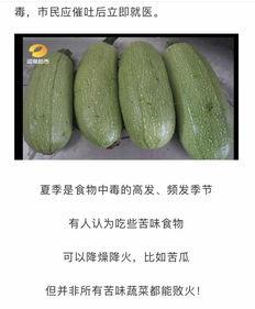 今日白枭瓜,揭秘神秘瓜果背后的传奇故事