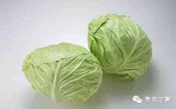 今日白枭瓜,揭秘神秘瓜果背后的传奇故事