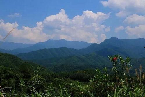 哪些明星网红爬过武功山,盘点那些征服武功山的明星网红