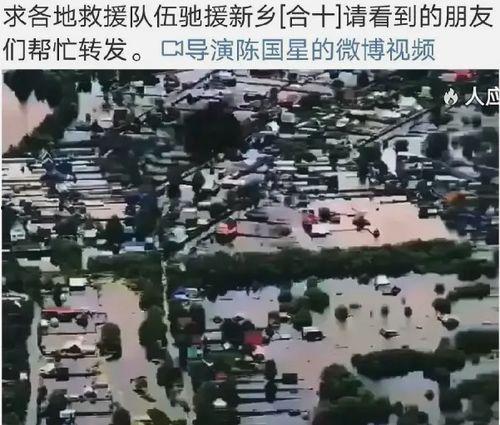 明星网红涌入灾区视频播放,明星网红助力，网络力量温暖人心