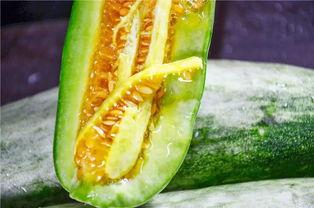 今日吃瓜网红吃瓜,瓜界风云再起！