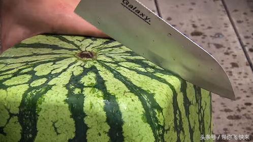 2022年方瓜今日价格,今日行情一览