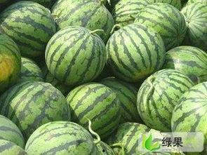 昆明小圆瓜今日价格行情,涨跌互现，市场动态解析