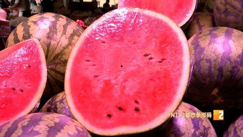 麒麟瓜价格今日,市场行情揭秘