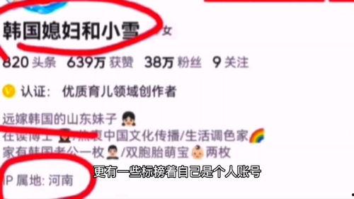明星网红ip地址在哪里,追踪网络红人的神秘足迹