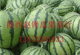 绵阳哈密瓜今日价格行情最新,价格行情一览无余