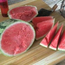 今日蒲城瓜产地地址,探寻今日瓜产地魅力之旅