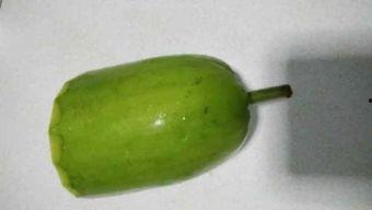 浦瓜今日价格,市场波动下的最新行情解析